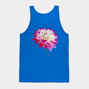 Dahlia Edged in Pink Tank Top